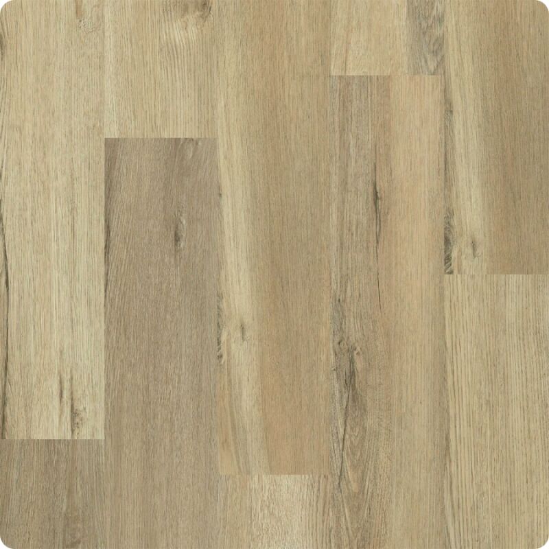 Kitchen & Floor Decor