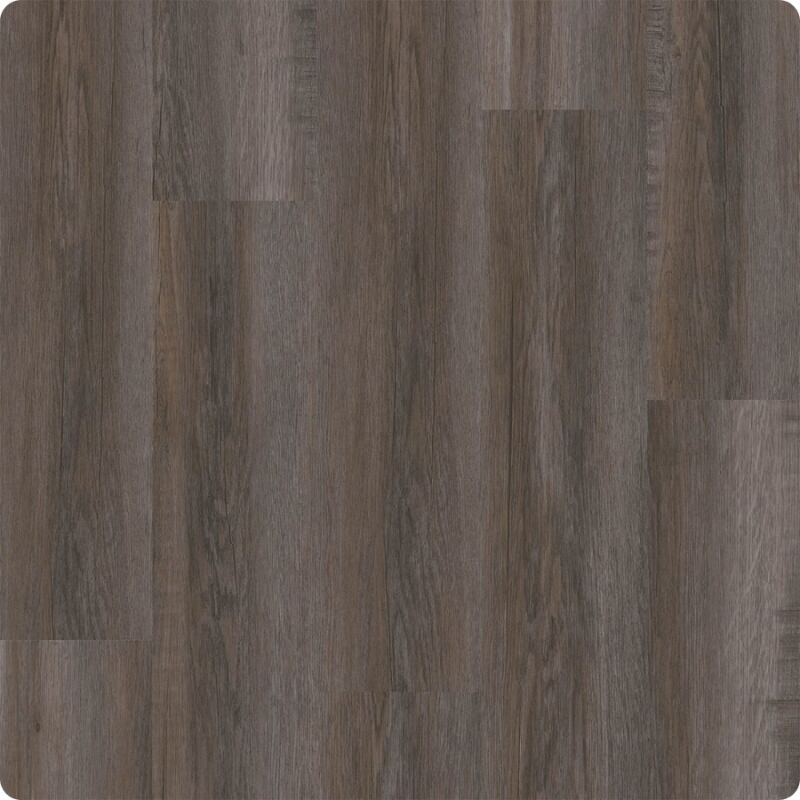 Kitchen & Floor Decor