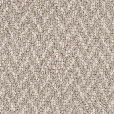 Textural Delight Taupe Hue Carpet