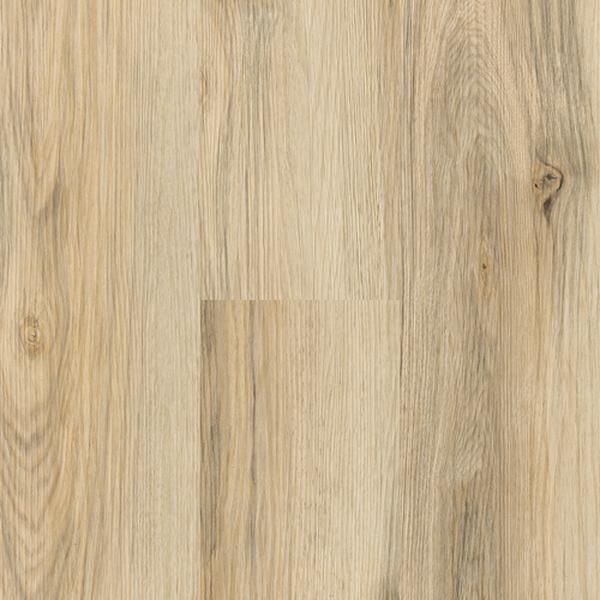 Donnington Vanilla Hickory Glue-Down Luxury Vinyl Plank