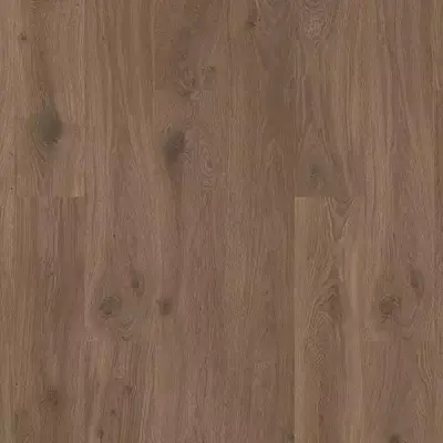 NatureTEK Select Ellicott Point Leather Bound Oak Laminate Flooring