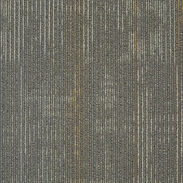 Optics Alhazen Carpet Tile