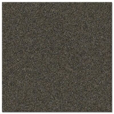 Contrax II HD Ash Brown Carpet Tile