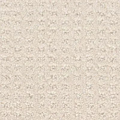 Posterity Beach Sand Carpet