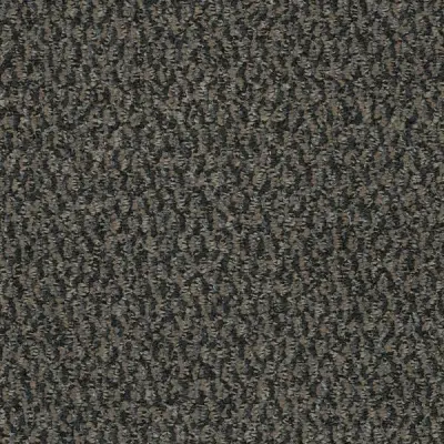Blackmore Cognitive Carpet