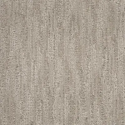 Scottsdale Dewey Carpet