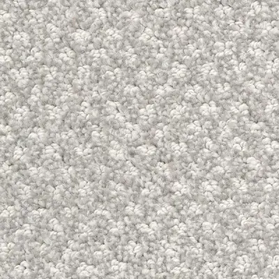 Regalia Ermine Carpet