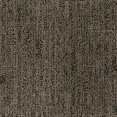 Reno Golden Gate Carpet