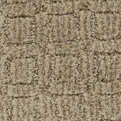 Illuminate Guild Carpet