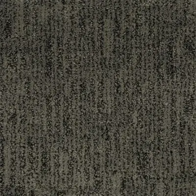 Reno Hoover Carpet