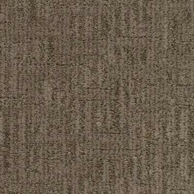 Reno Let It Ride Carpet