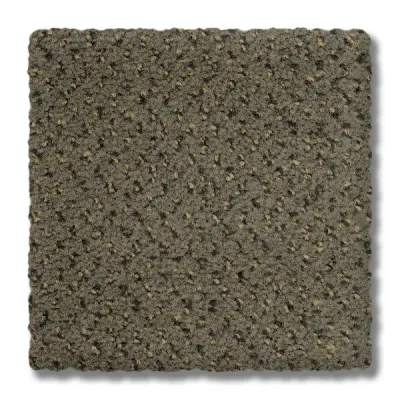 Ancestry Mars Carpet