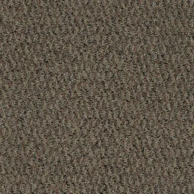 Blackmore Memetic Carpet