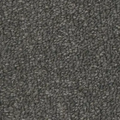 Algorithm Newton Carpet Tile