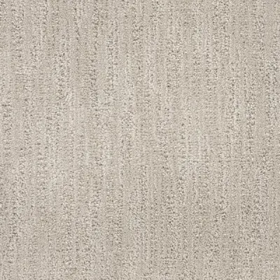 Scottsdale Papago Carpet