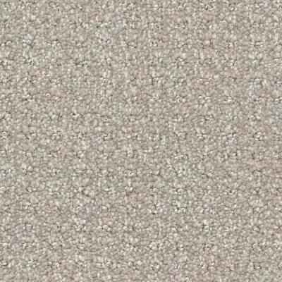 Posterity Pearl River Carpet