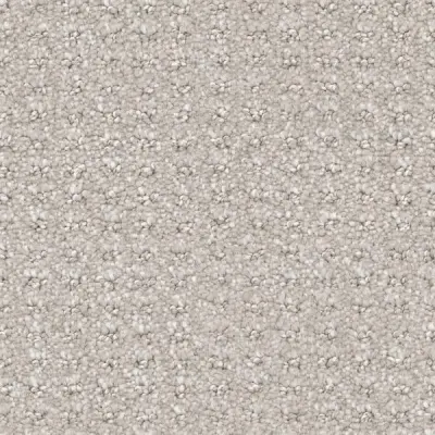 Posterity Pewter Carpet