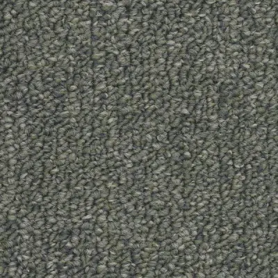 Algorithm Physics Carpet Tile