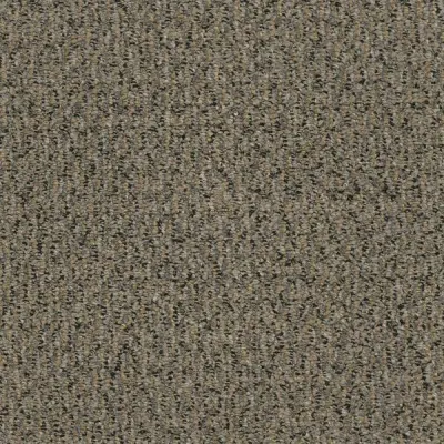 Blackmore Plymouth Carpet