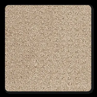 Posterity Prairie Carpet