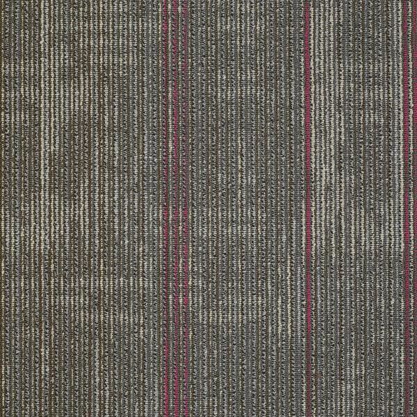 Optics Quantum Carpet Tile