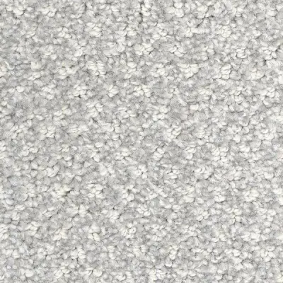 Regalia Republic Carpet