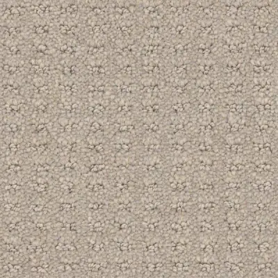 Posterity Rocky Shore Carpet