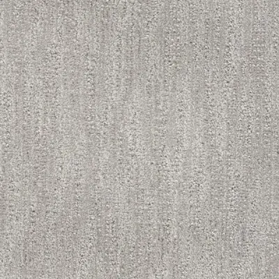 Scottsdale Scott Carpet