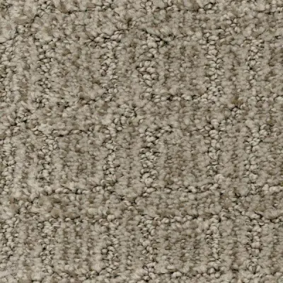 Illuminate Society Carpet
