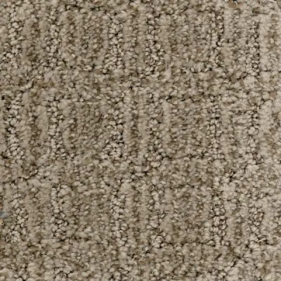 Illuminate Succession Carpet