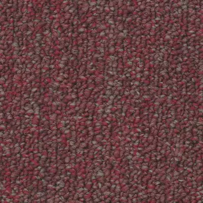Algorithm Tally Carpet Tile