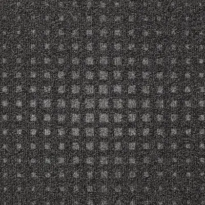 Cleanstep Terra Firma Carpet Tile