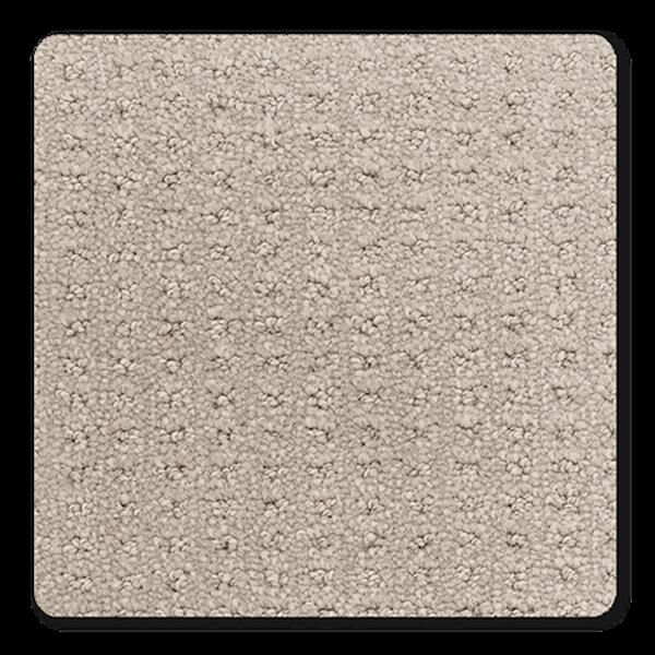 Posterity Trendy Carpet