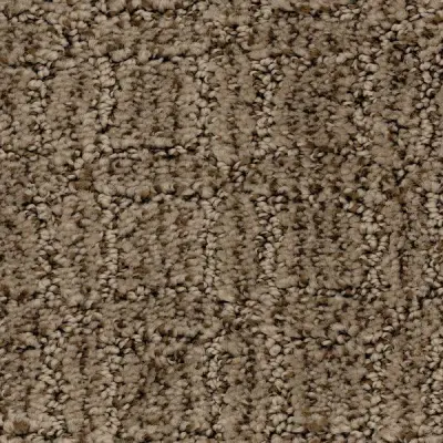 Illuminate World Carpet