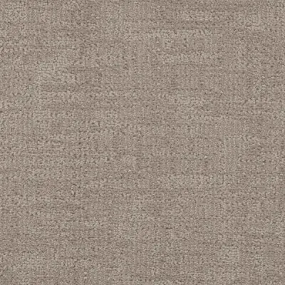 Cadence Abalone Carpet