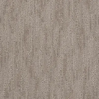 Sedona Abalone Carpet