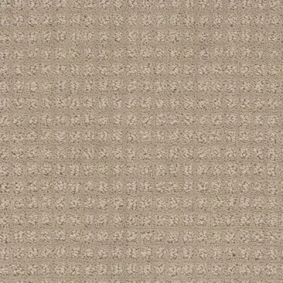 Manhattan Antique Beige Carpet