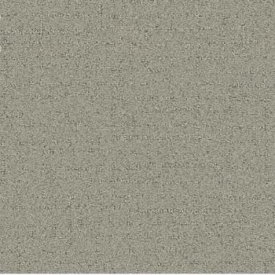 Talk of the Town Antique Beige Carpet