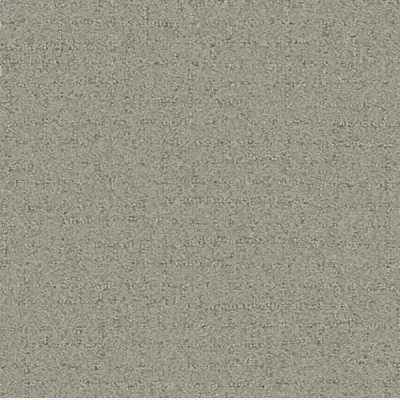 Talk of the Town Antique Beige Carpet
