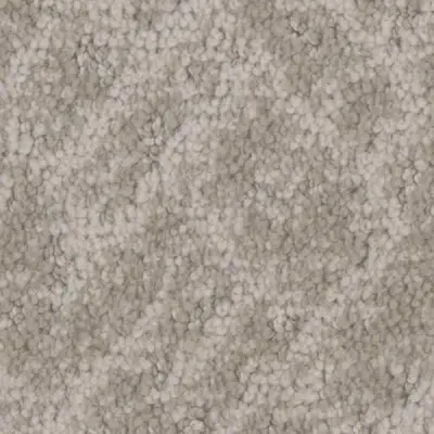 Cheshire Cozy Carpet