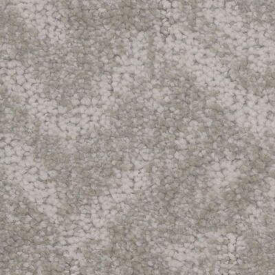 Anthropology Creation Carpet
