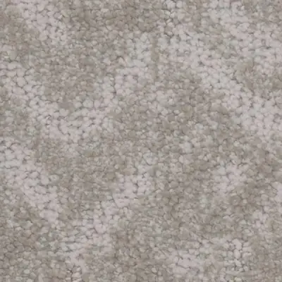 Anthropology Creation Carpet