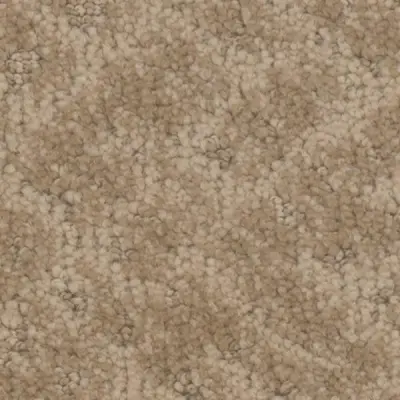 Cheshire Dwelling Carpet