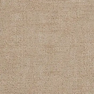 Cadence Haylo Carpet