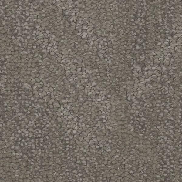 Anthropology History Carpet