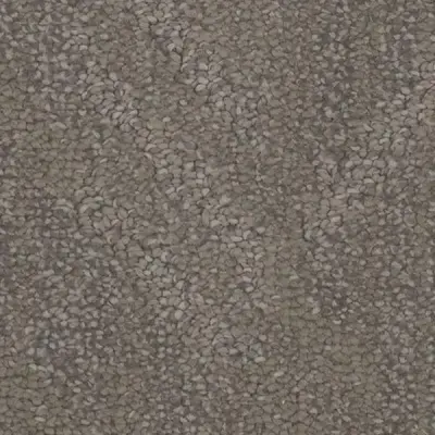 Anthropology History Carpet
