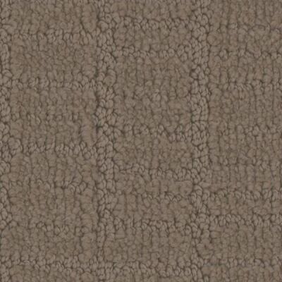 Passageway Latte Carpet