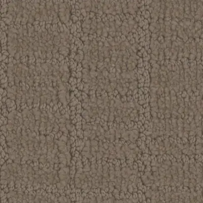 Passageway Latte Carpet