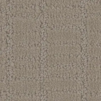 Passageway Linen Carpet