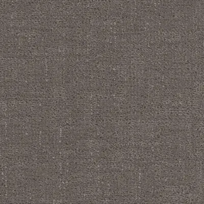 Cadence Mink Carpet